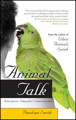 Animal Talk book